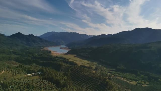 La sombra del quebrantahuesos