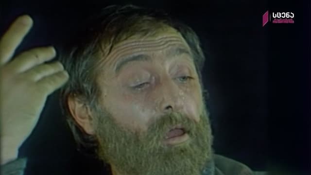 A Holiday of Solitude