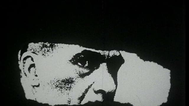 Report on Brazil: Carlos Marighella