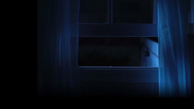 Home Alone