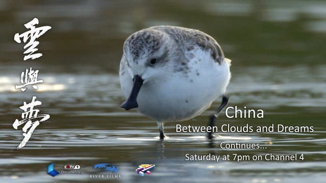 China: Between Clouds and Dreams
