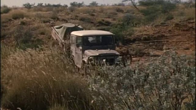 Return To The Desert