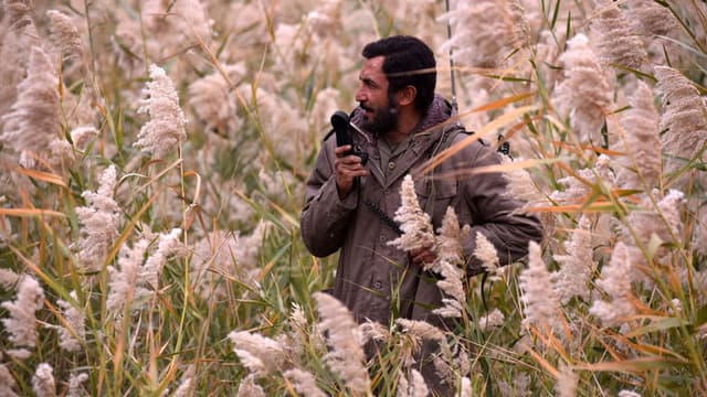 The Situation of Mehdi