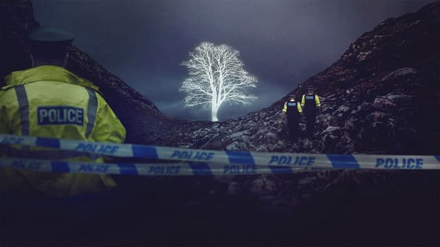 The Sycamore Gap Mystery
