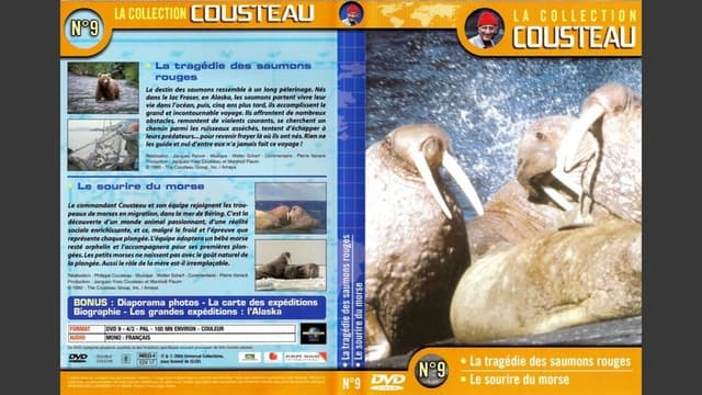 The Cousteau Collection N°9-2 | Morse's Smile