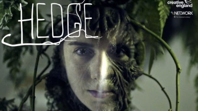 Hedge