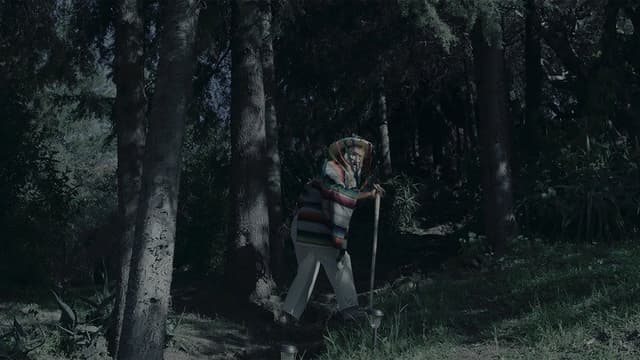 In Luna There Are Spirits
