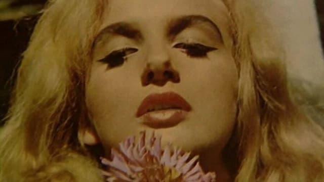 Didn't Do It For Love