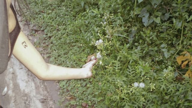 o céu diante dos meus olhos nunca é cinza