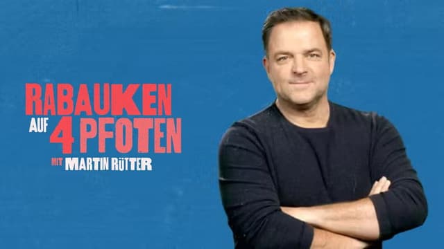 Rabauken auf 4 Pfoten – Mit Martin Rütter