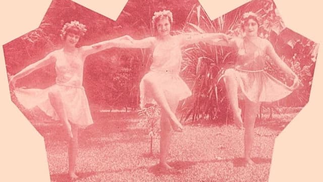 Sinfonia da Floresta