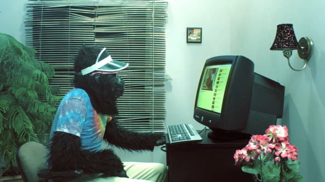 Peter's Computer - Gorilla Video
