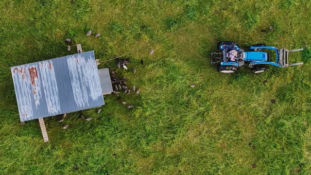 The Lunatic Farmer