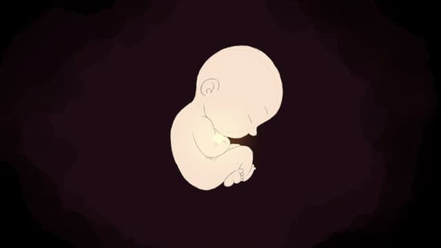 The Little Miracle