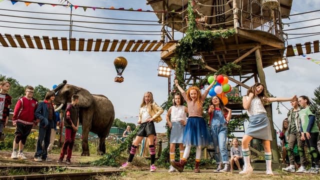 Little Miss Dolittle