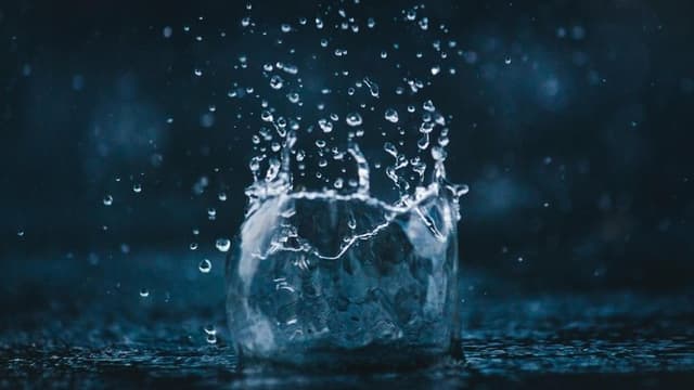 Rain: The Untold Story