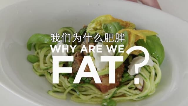 Why Are We Getting So Fat?