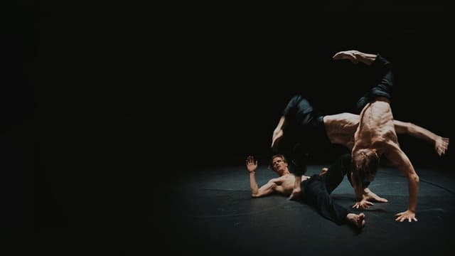 The Art of Falling