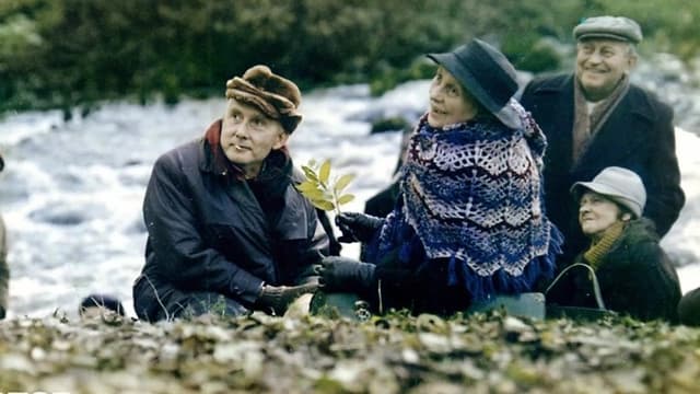 The Weather Forecast