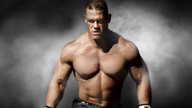 WWE Survivor Series 2008