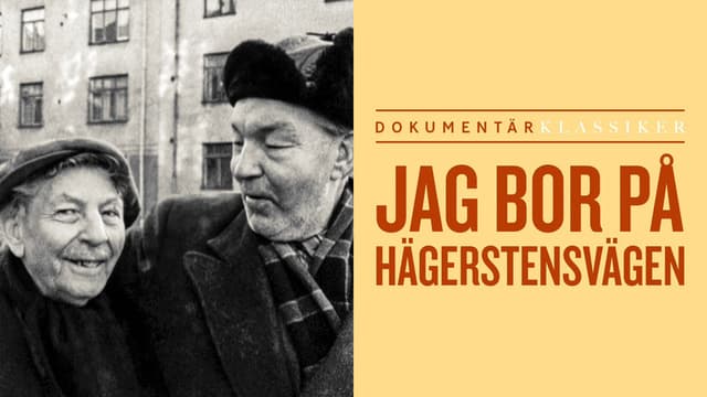 Jag bor på Hägerstensvägen och på samma sida ligger ett System