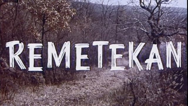 Remetekan