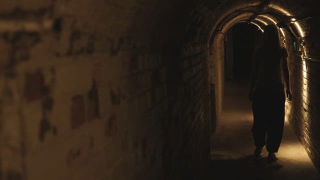 The Cellar