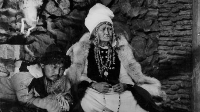 The Descendant of the Snow Leopard