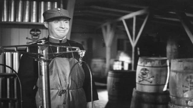 Schweik's Years of Indiscretion