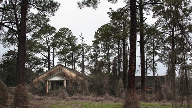 Deadly Secrets: The Lost Children of Dozier