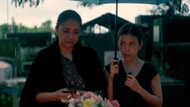 When It Rained Malunggay Leaves