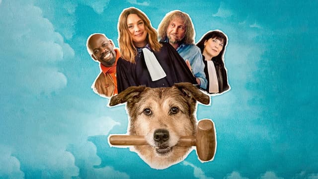 Dog on Trial