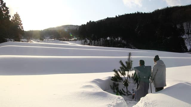 The Genealogy of Sake