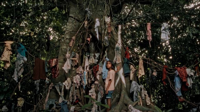 Even Ashes, Nothing Remains