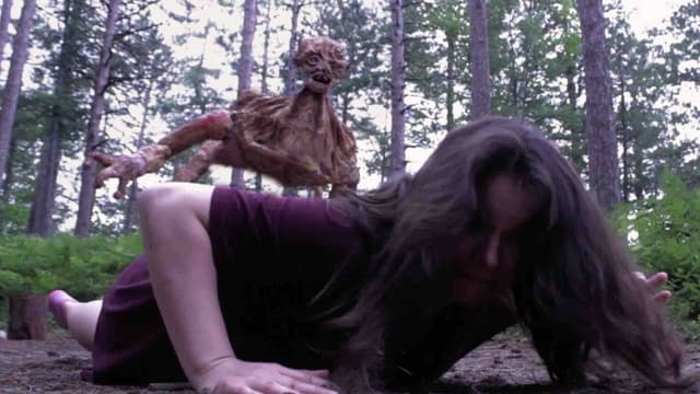 Monsters in the Woods