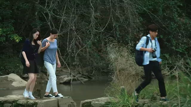 Favorite Begonia Flower