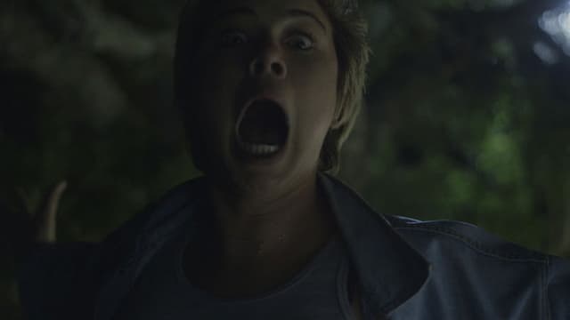 Os Demônios de Virgínia