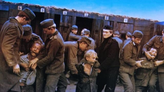 The Fifth Day of Peace