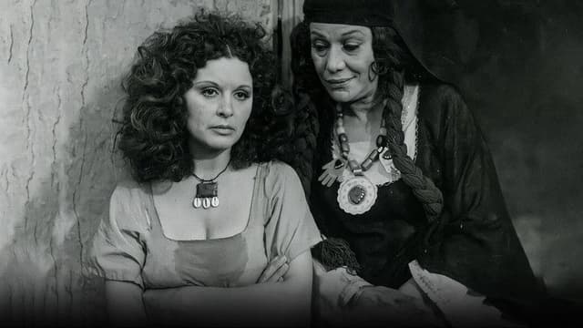 Shafiqa and Metwally