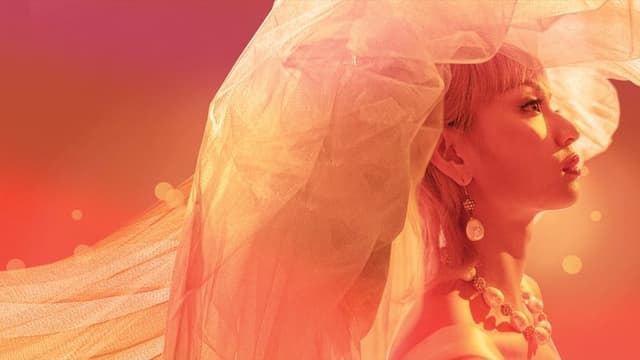 Anita: Director's Cut