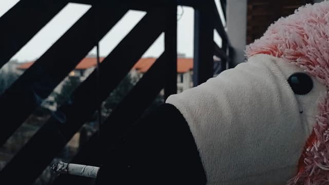 Historia dnia jutrzejszego