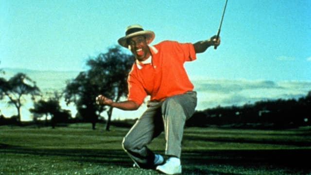The Tiger Woods Story