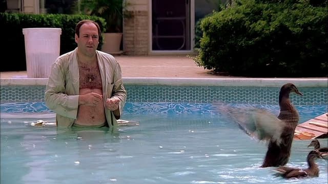 The Sopranos: Season 1