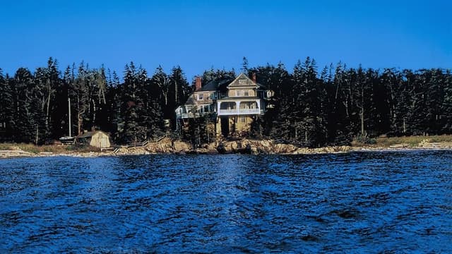 The Man Without a Face