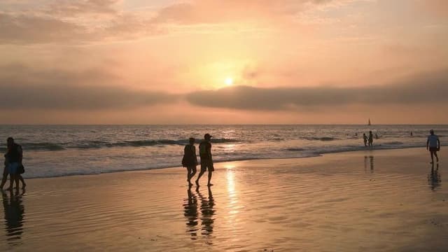 Memories for Life - Reversing Alzheimer's