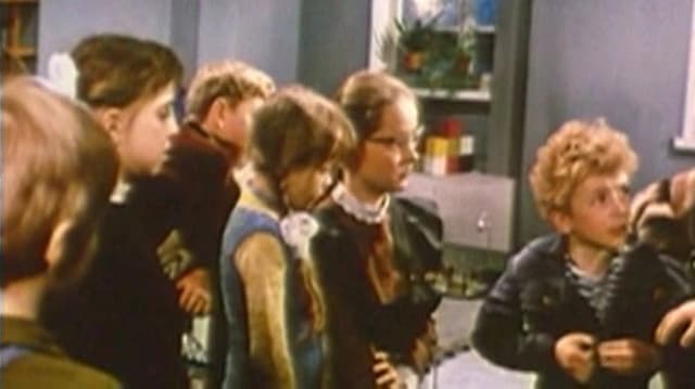 Let the Northern Lights Shine