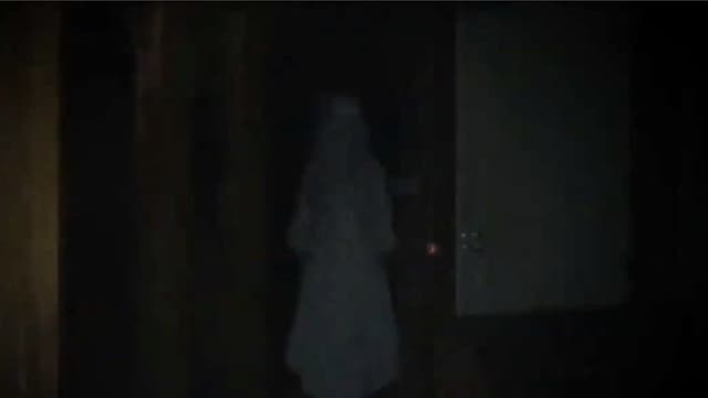 The Untitled Meriharju Project