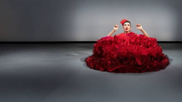 Virginia Raffaele - Samusà