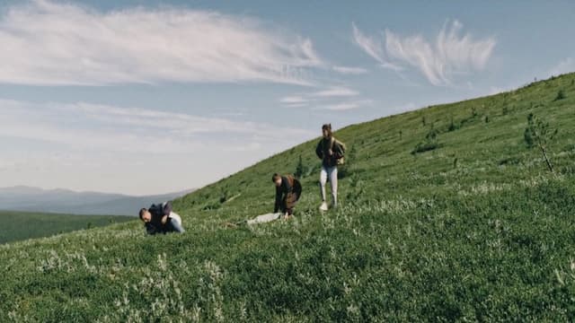 Nobody Knows About Manpupunyor