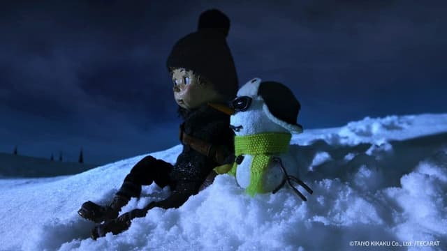 Norman the Snowman: On a Night of Shooting Stars